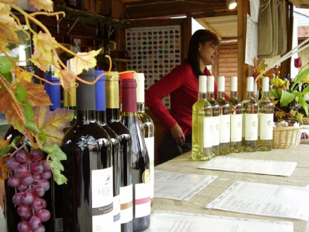 Traditional Grape Festival